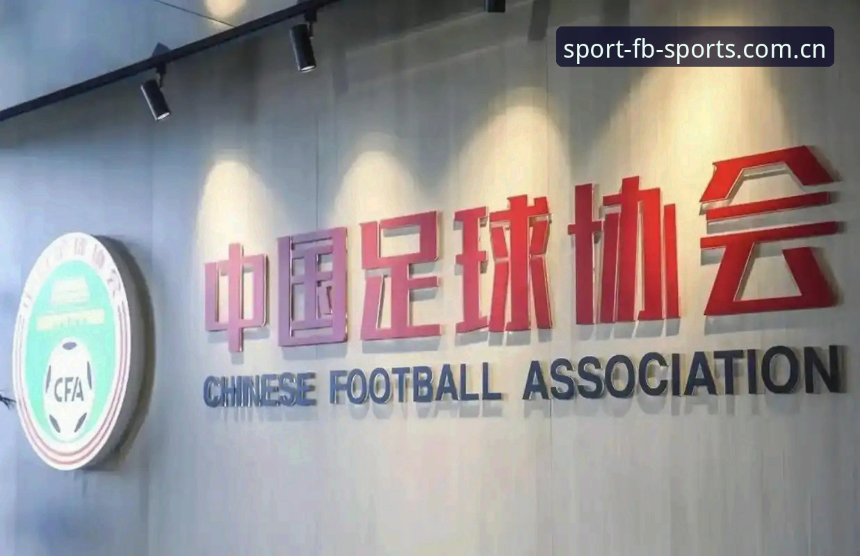5类足球腐败行为解析：中国足协第三批禁足名单背后的行业变革